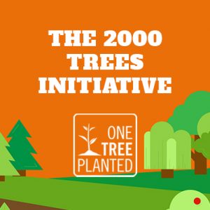 Our 2000 Trees Initiative Feature Image