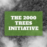 The 2000 Trees Initiative Update