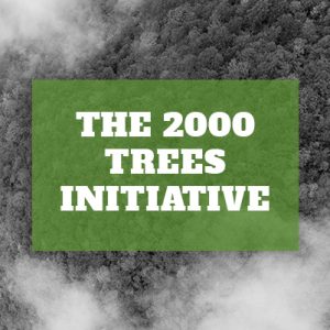 The 2000 Trees Initiative Update feature image