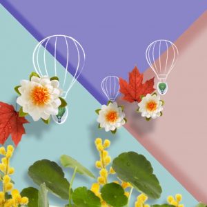 A still image from the social media animations made for Avon's K-beauty range. This image depicts hand-drawn hot air balloons alongside real images of flowers and leaves.