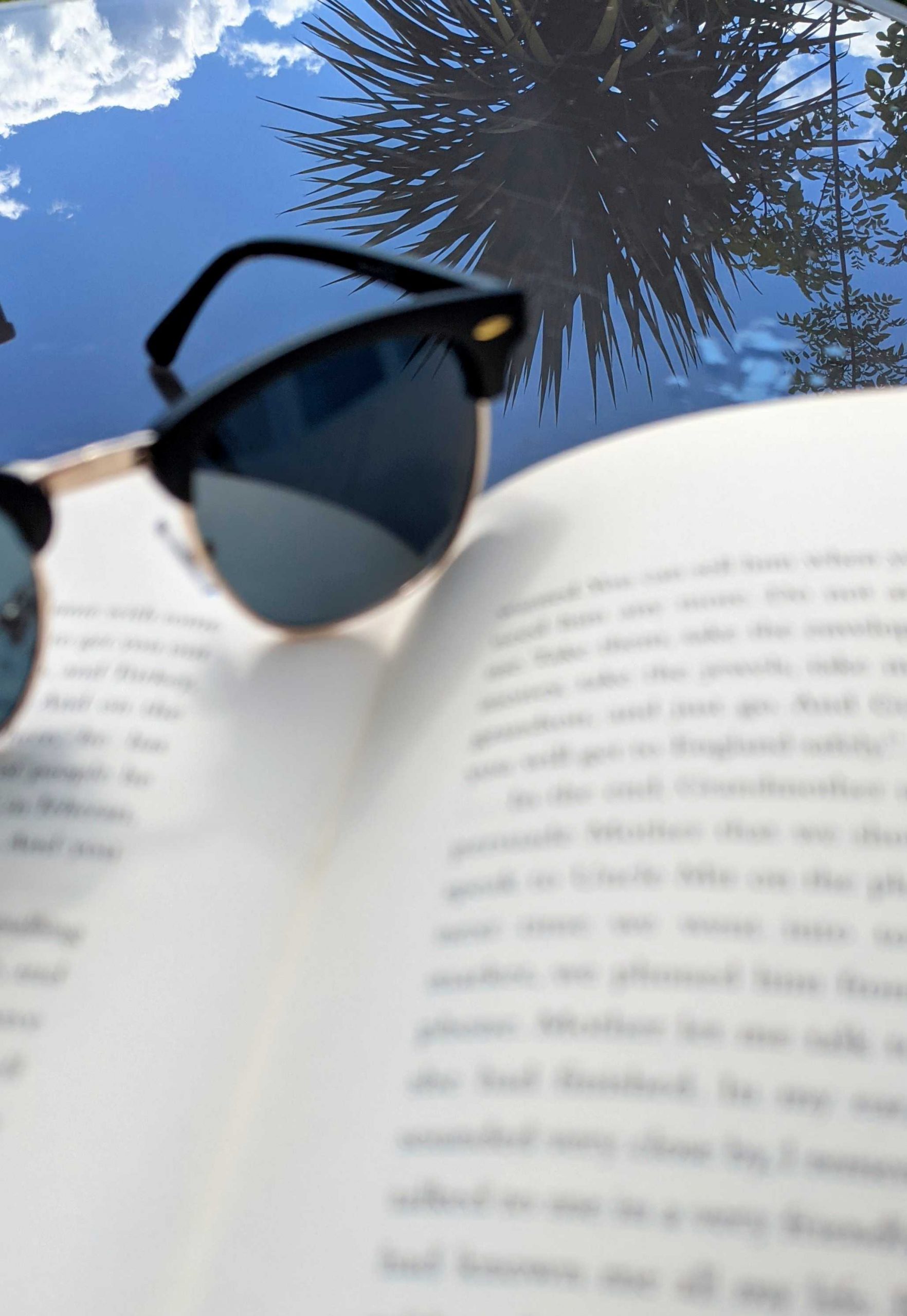 Amelia's submission to the Great British Photography Challenge shows a close up of the top of a book with sunglasses laid on top, and a blue sky and trees in the background.